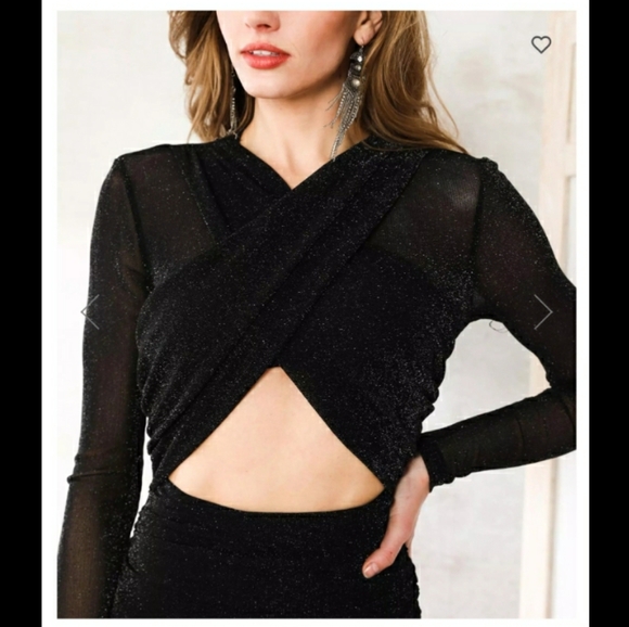 PRIVY NWT SheerSleeve Metallic lined Dress - Picture 3 of 6